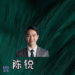 陈锐